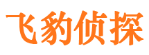 宽甸侦探取证